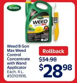 Walmart Weed B Gon Max Weed Control Concentrate with Wand Applicator offer