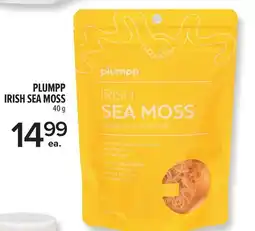 Metro PLUMPP IRISH SEA MOSS offer