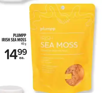 Metro PLUMPP IRISH SEA MOSS offer
