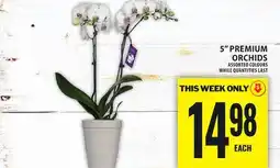 Food Basics 5 PREMIUM ORCHIDS offer