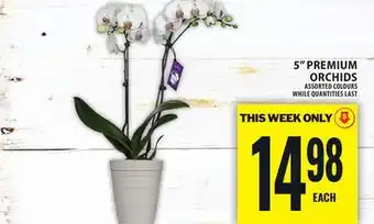 Food Basics 5 PREMIUM ORCHIDS offer