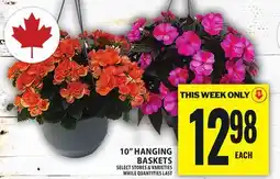 Food Basics 10 HANGING BASKETS offer