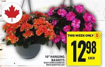 Food Basics 10 HANGING BASKETS offer