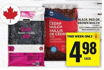 Food Basics BLACK,RED OR BROWN MULCH offer