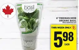 Food Basics 6 FREEMAN HERB ORGANIC BASIL offer