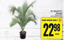 Food Basics 10 MAJESTY PALMS offer