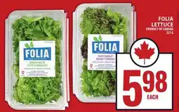 Food Basics FOLIA LETTUCE offer