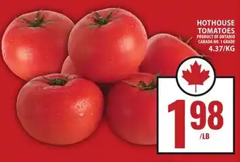 Food Basics HOTHOUSE TOMATOES offer