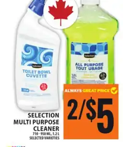 Food Basics SELECTION MULTI PURPOSE CLEANER offer