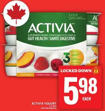 Food Basics ACTIVIA YOGURT offer