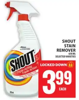 Food Basics SHOUT STAIN REMOVER offer