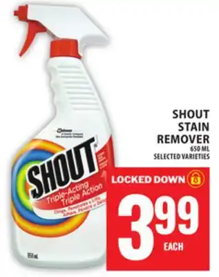 Food Basics SHOUT STAIN REMOVER offer
