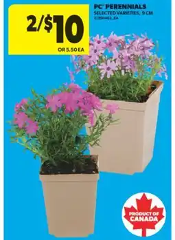 Real Canadian Superstore PC PERENNIALS, 9 CM offer