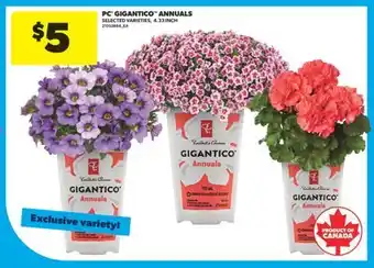 Real Canadian Superstore PC GIGANTICO ANNUALS, 4.33 INCH offer
