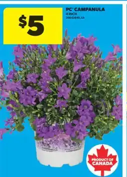 Real Canadian Superstore PC CAMPANULA, 4 INCH offer