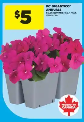 Real Canadian Superstore PC GIGANTICO ANNUALS, 4 PACK offer