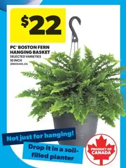 Real Canadian Superstore PC BOSTON FERN HANGING BASKET, 10 INCH offer