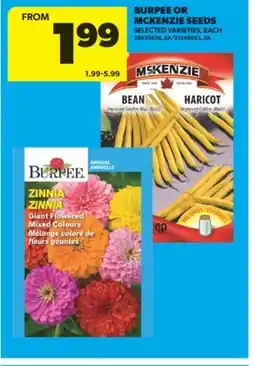 Real Canadian Superstore BURPEE OR MCKENZIE SEEDS, EACH offer