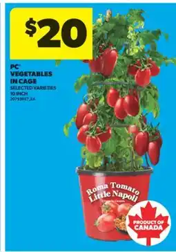 Real Canadian Superstore PC VEGETABLES IN CAGE, 10 INCH offer
