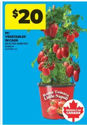 Real Canadian Superstore PC VEGETABLES IN CAGE, 10 INCH offer