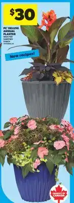 Real Canadian Superstore PC DELUXE ANNUAL PLANTER, 11 INCH offer