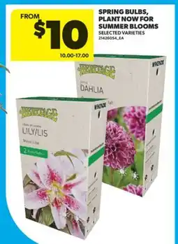 Real Canadian Superstore SPRING BULBS, PLANT NOW FOR SUMMER BLOOMS offer