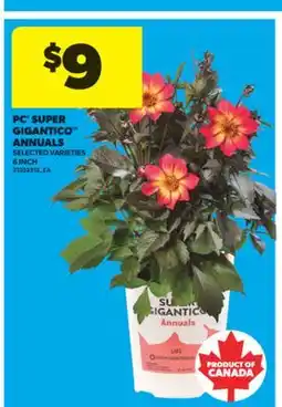 Real Canadian Superstore PC SUPER GIGANTICO ANNUALS, 6 INCH offer