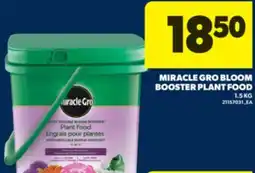 Real Canadian Superstore MIRACLE GRO BLOOM BOOSTER PLANT FOOD, 1.5 KG offer