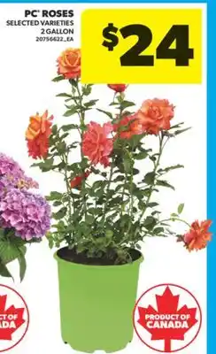 Real Canadian Superstore PC ROSES offer