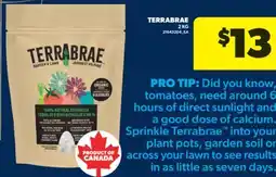 Real Canadian Superstore TERRABRAE, 2 KG offer