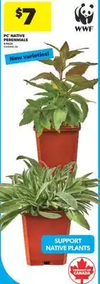 Real Canadian Superstore PC NATIVE PERENNIALS offer