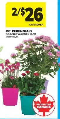Real Canadian Superstore PC PERENNIALS, 15 CM offer