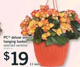Fortinos PC DELUXE ANNUAL HANGING BASKET, 11 inch offer