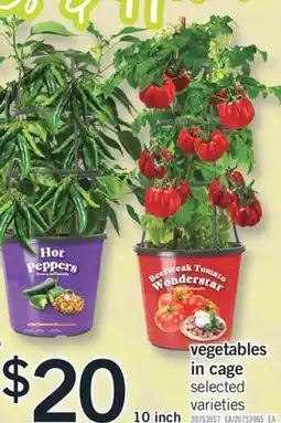 Fortinos VEGETABLES IN CAGE, 10 inch offer