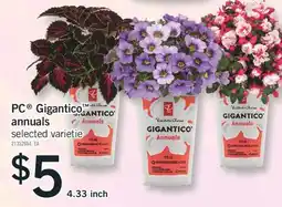 Fortinos PC GIGANTICO ANNUALS, 4.33 inch offer