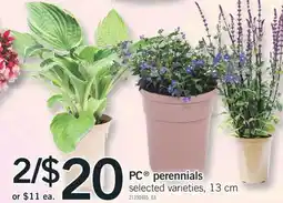 Fortinos PC PERENNIALS, 13 CM offer