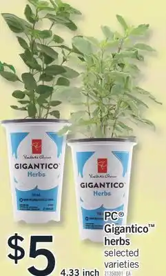 Fortinos PC GIGANTICO HERBS, 4.33 INCH offer