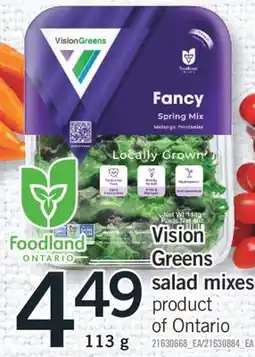 Fortinos VISION GREENS SALAD MIXES, 113g offer