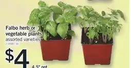 Fortinos FALBO HERB OR VEGETABLE PLANTS offer