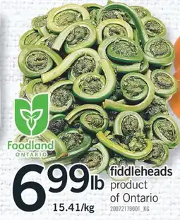 Fortinos FIDDLEHEADS offer