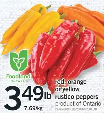 Fortinos RED, ORANGE OR YELLOW RUSTICO PEPPERS offer