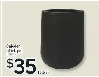 Fortinos CALEDON BLACK POT, 15.5 in offer