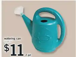 Fortinos WATERING CAN, 2 gal offer