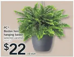 Fortinos PC BOSTON FERN HANGING BASKET, 10 INCH offer