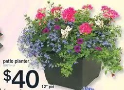 Fortinos PATIO PLANTER, 12 POT offer