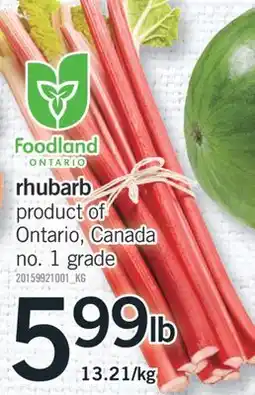Fortinos RHUBARB offer