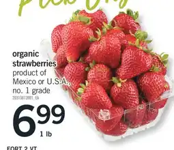 Fortinos ORGANIC STRAWBERRIES, 1 LB offer
