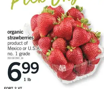 Fortinos ORGANIC STRAWBERRIES, 1 LB offer