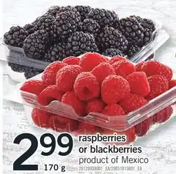 Fortinos RASPBERRIES OR BLACKBERRIES, 170 g offer