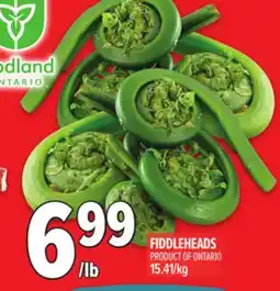 Metro FIDDLEHEADS offer